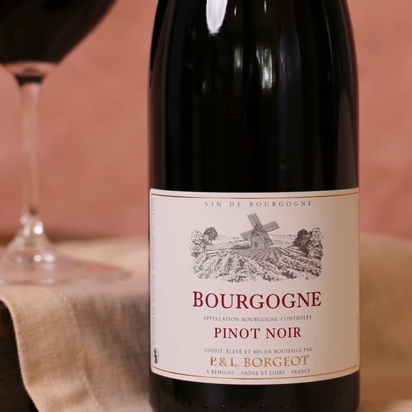 Bourgogne Rouge Pinot Noir, Domaine Laurent Borgeot, Burgundy, France 2019